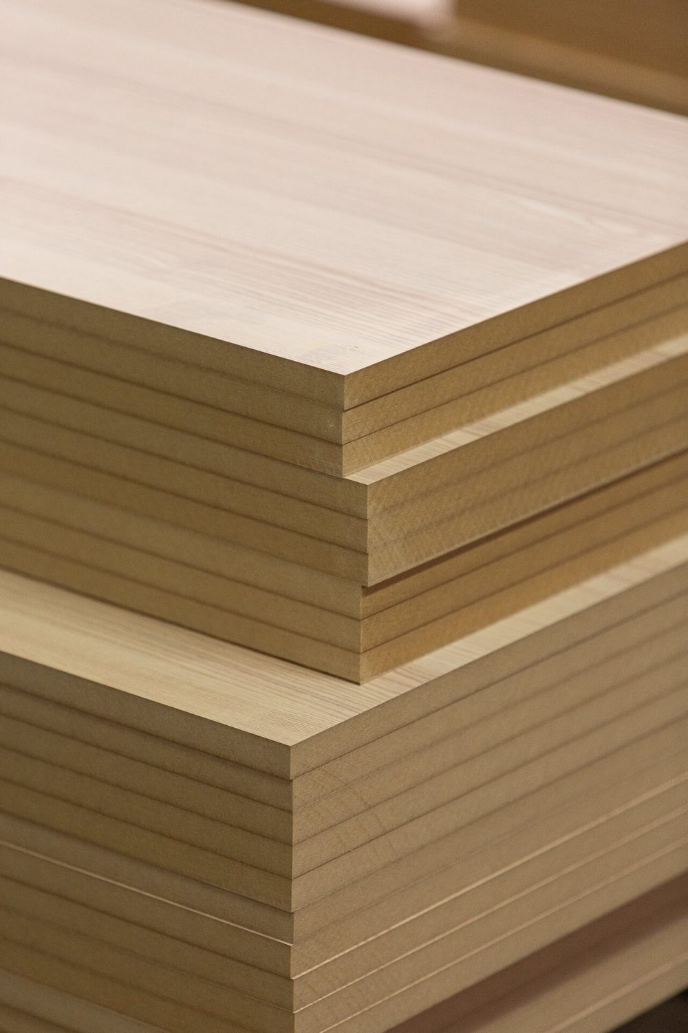 Certyfikat FSC® - co to jest i o czym świadczy?